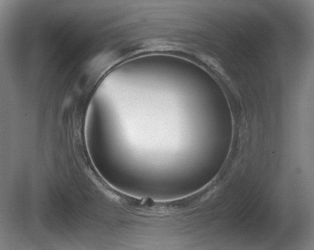 X0000080661273200612221041