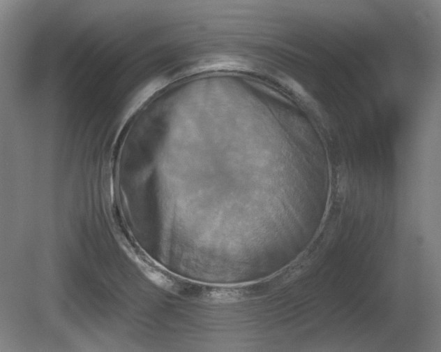 X0000080661274200612221041