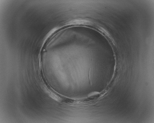X0000080661275200612221041