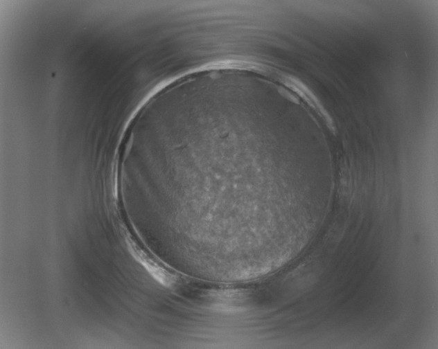 X0000080661276200612221041