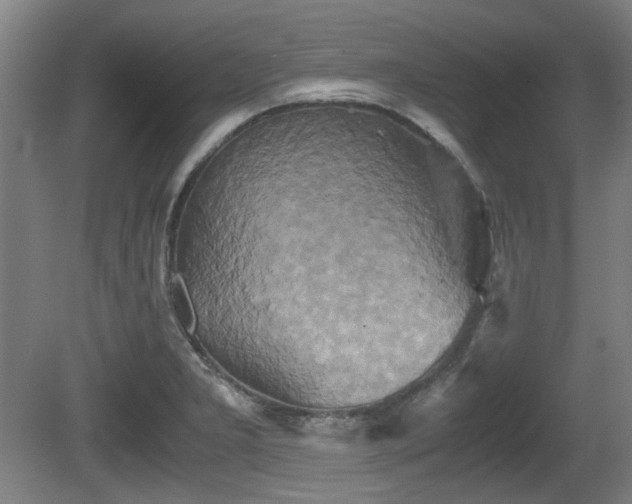 X0000080661277200612221041