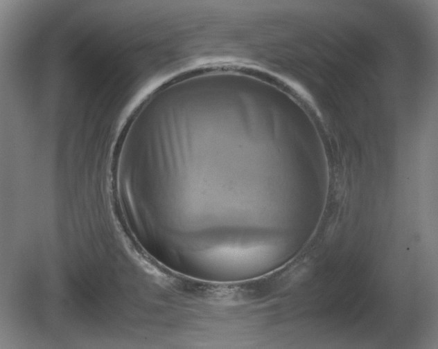 X0000080661279200612221041