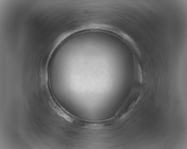 X0000080661280200612221041