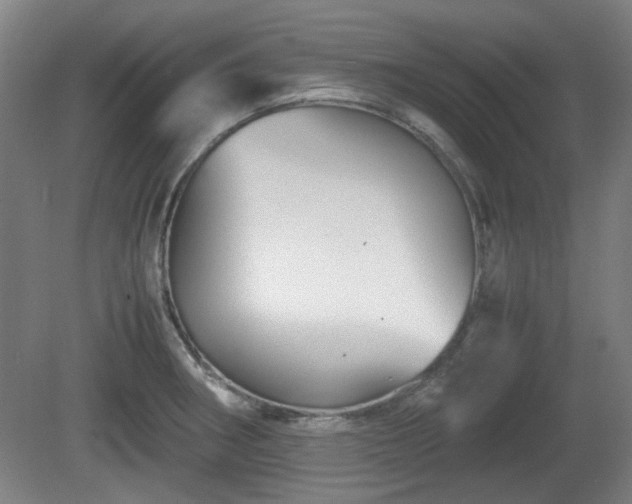 X0000080661282200612221041