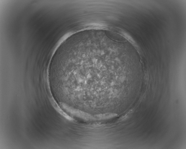 X0000080661283200612221041