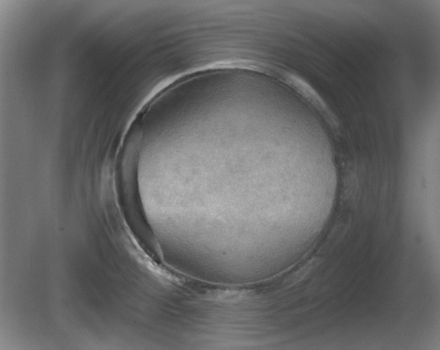 X0000080661284200612221041