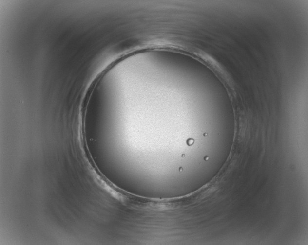 X0000080661286200612221041