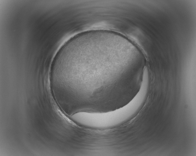 X0000080661288200612221041