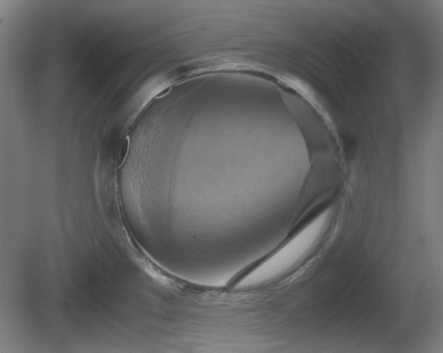 X0000080661289200612221041