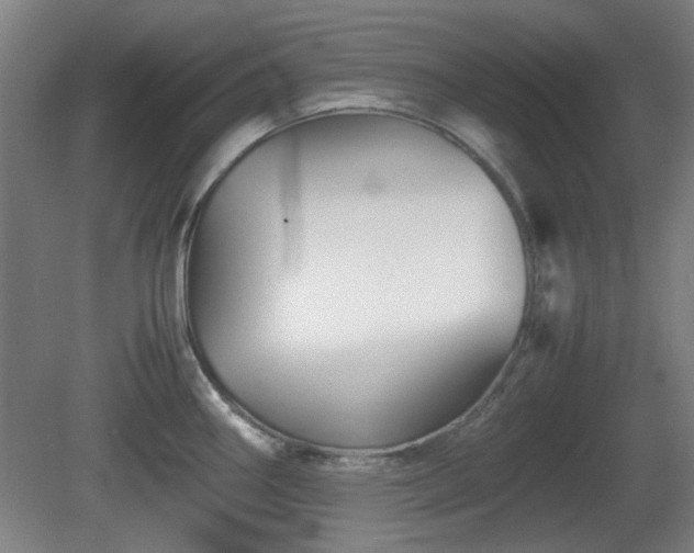 X0000080661290200612221041