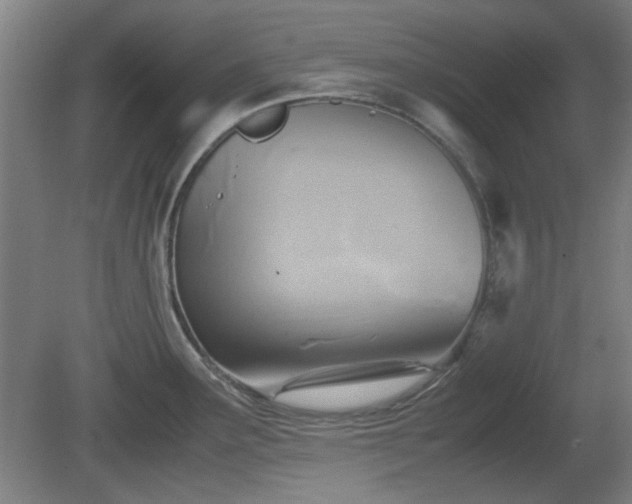 X0000080661291200612221041