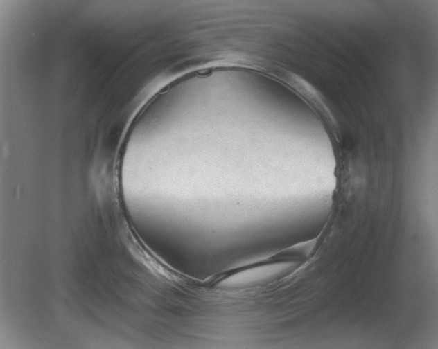 X0000080661292200612221041