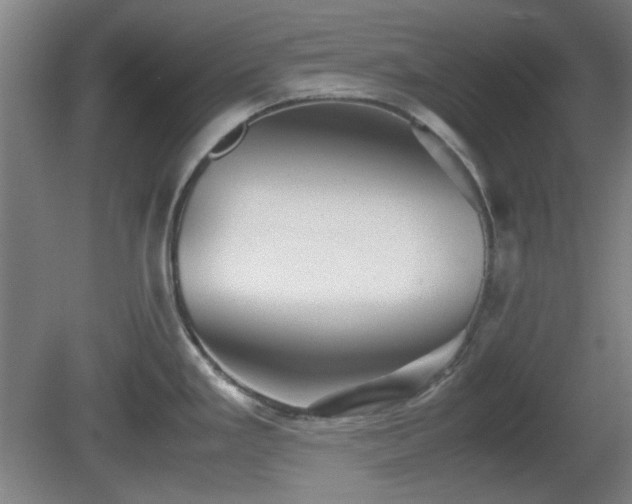 X0000080661293200612221041