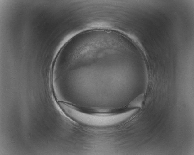X0000080661295200612221041