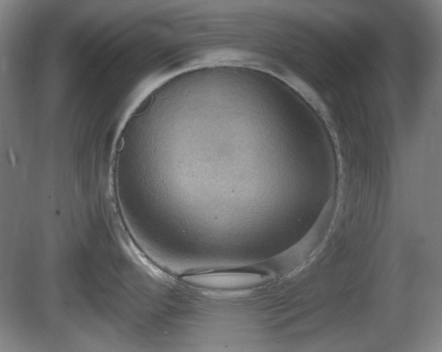 X0000080661296200612221041