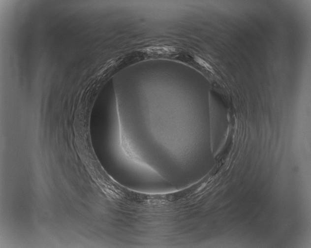 X0000080661297200612221040