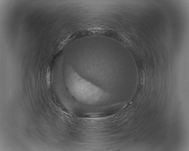 X0000080661298200612221040