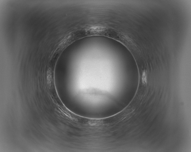 X0000080661299200612221040