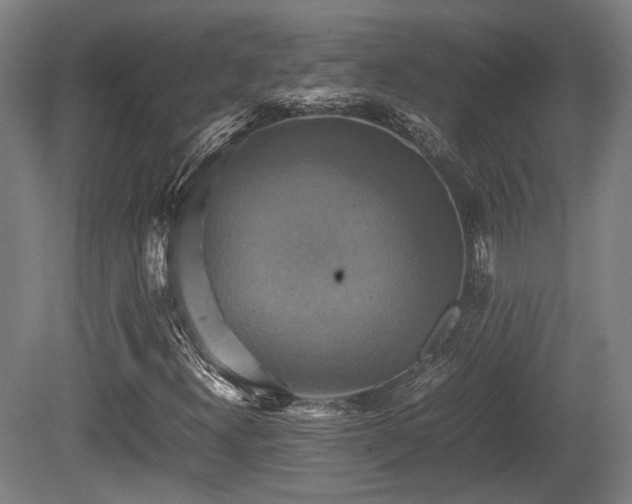 X0000080661300200612221040