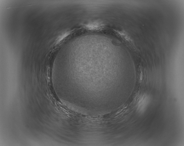 X0000080661301200612221040