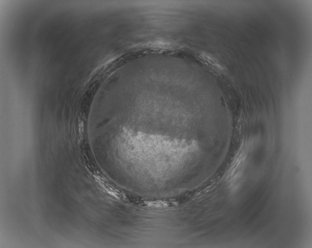 X0000080661302200612221040