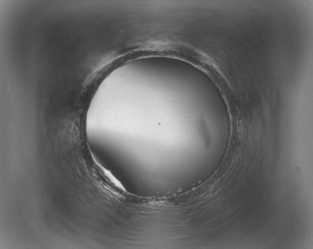 X0000080661304200612221040