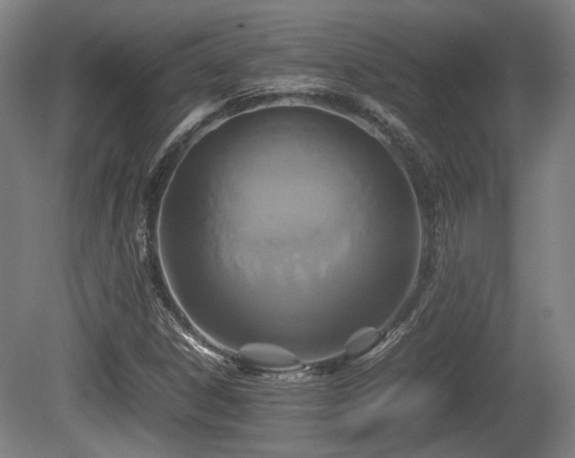 X0000080661306200612221040