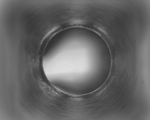 X0000080661309200612221040