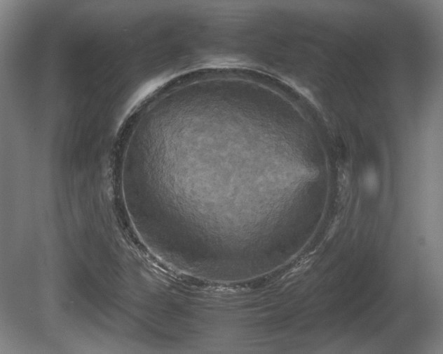 X0000080661311200612221041