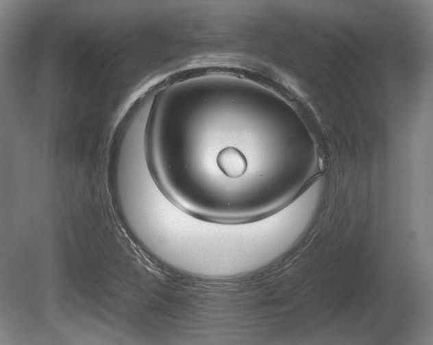 X0000080661312200612221041