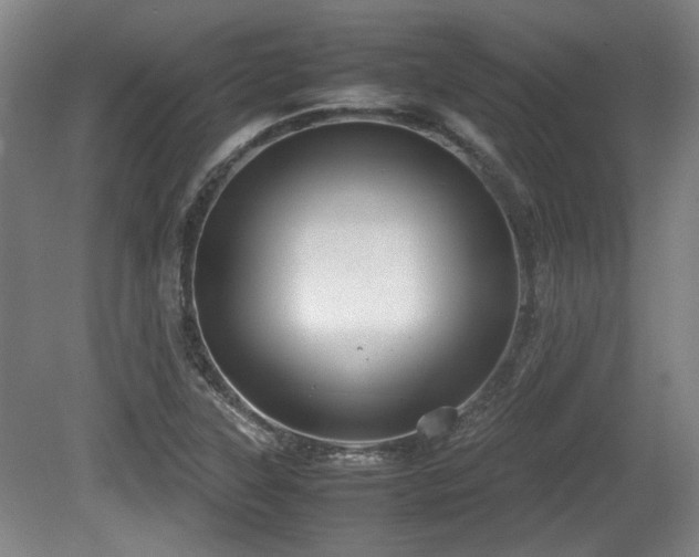 X0000080661315200612221041