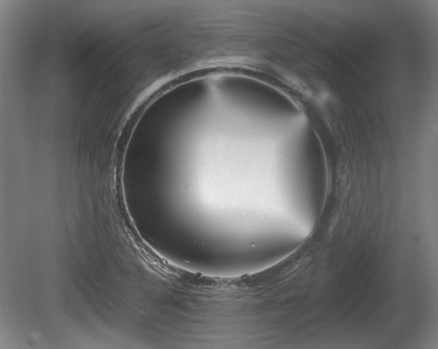 X0000080661316200612221041