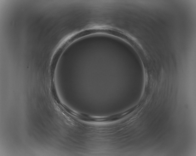 X0000080661319200612221041