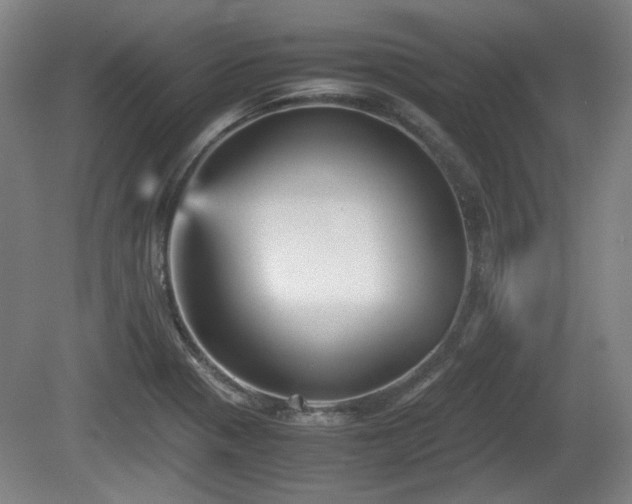 X0000080661321200612221041