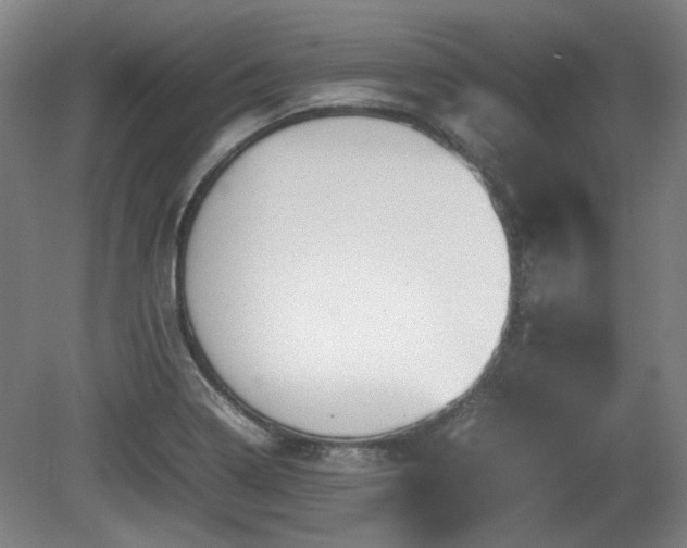 X0000080661322200612221041