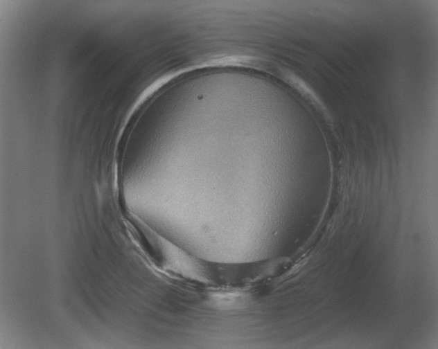 X0000080661324200612221041