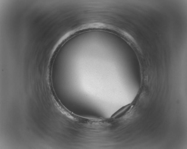 X0000080661326200612221041