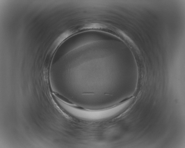 X0000080661329200612221041