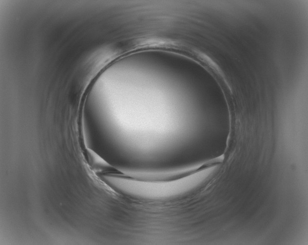 X0000080661330200612221041