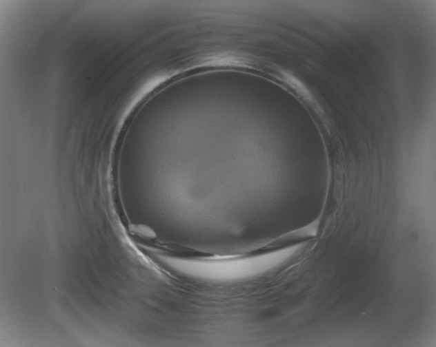 X0000080661331200612221041