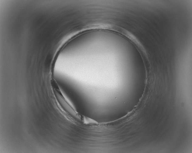 X0000080661332200612221041
