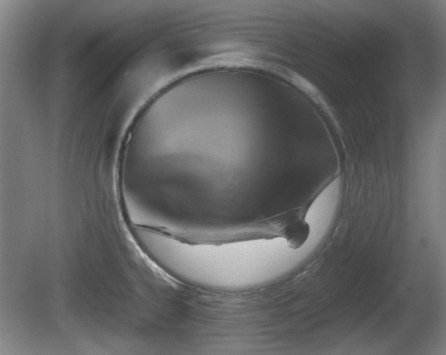 X0000080661334200612221041