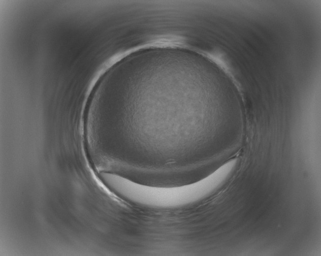 X0000080661335200612221041