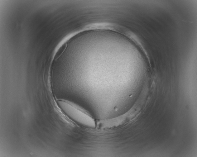 X0000080661336200612221041