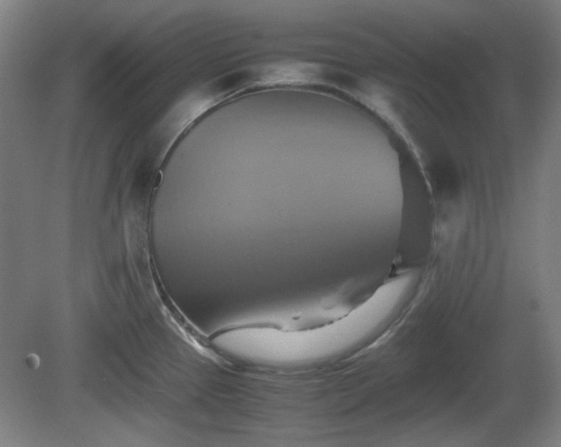 X0000080661337200612221041