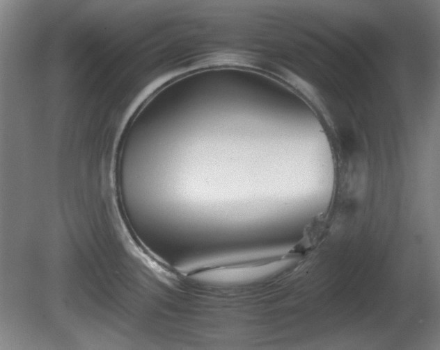X0000080661339200612221041