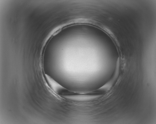 X0000080661342200612221041