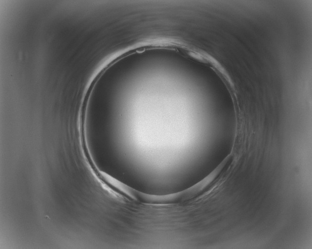 X0000080661343200612221041