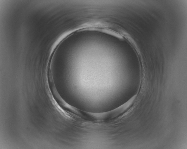 X0000080661344200612221041