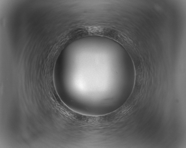 X0000080661345200612221040